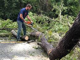 Seasonal Cleanup (Spring/Fall) in Hudson, FL